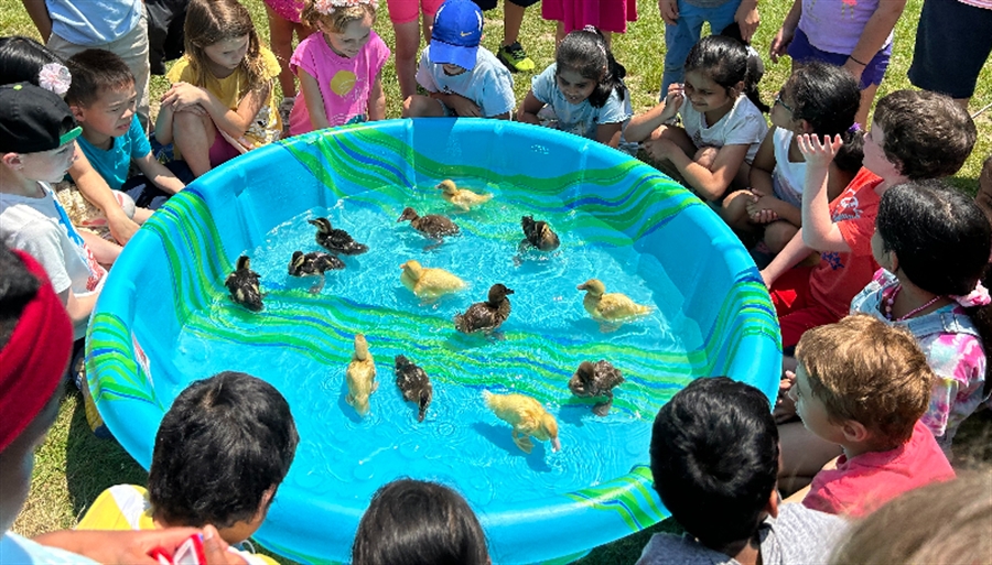 An amazing hands on science experience for kids