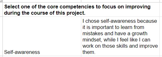 Example student response to self-assessment Example student response to self-assessment