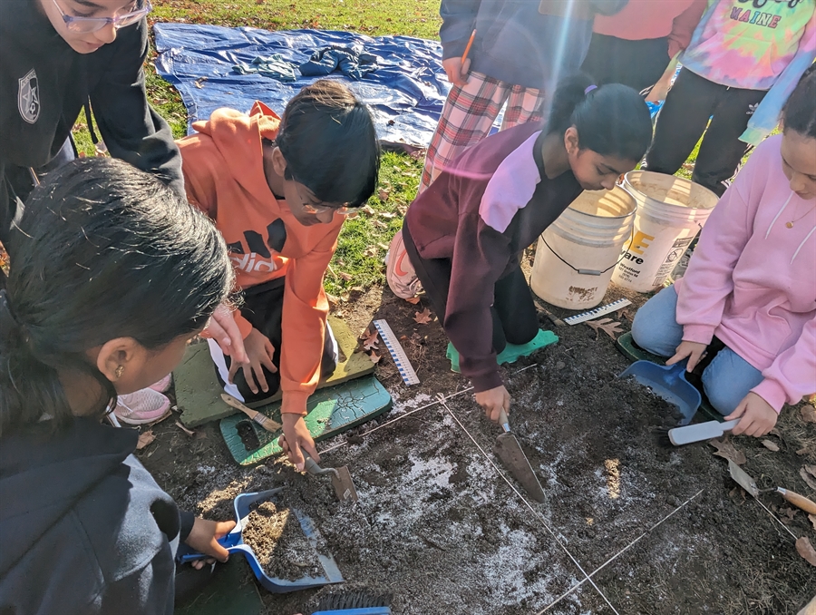 Curious Minds At Work