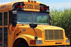 school-bus-4406479_640.jpg