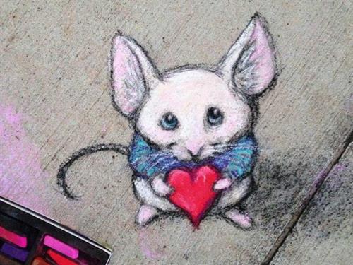 mouse heart 