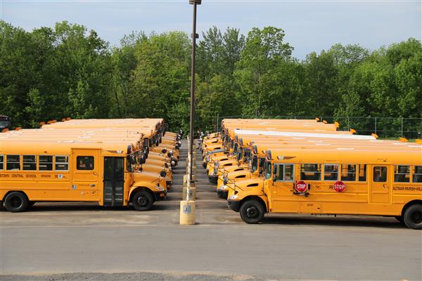 school buses lined up