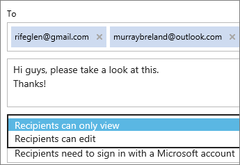 Choosing view-only and sign-in required options in invitation email