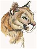 Mountain Lion 