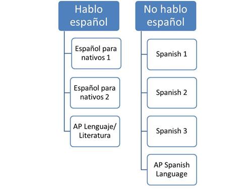 Spanish Courses Offered At LSHS 