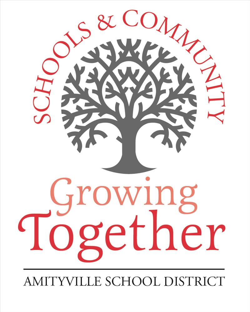 Bond Image: 'Schools & Community - Growing Together - Amityville School District'
