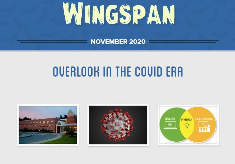 Wingspan Nov 2020