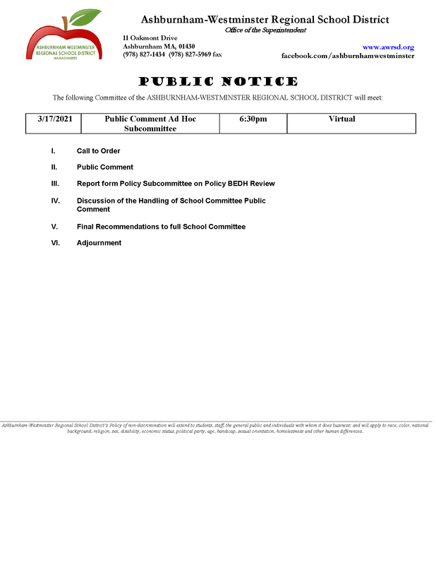 Public Comment Ad Hoc Subcommittee Meeting 3/17/2021