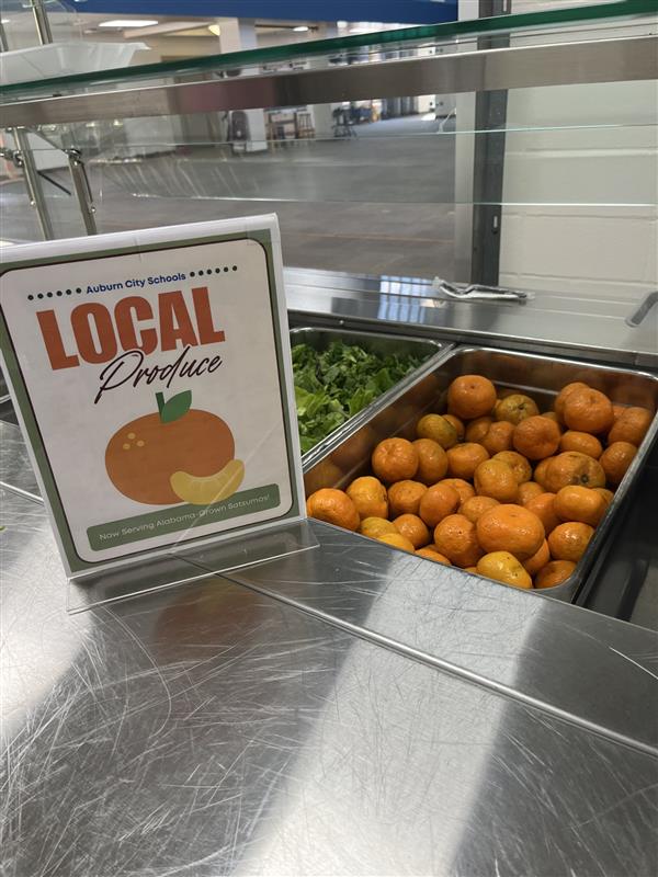 Alabama-Grown Satsumas