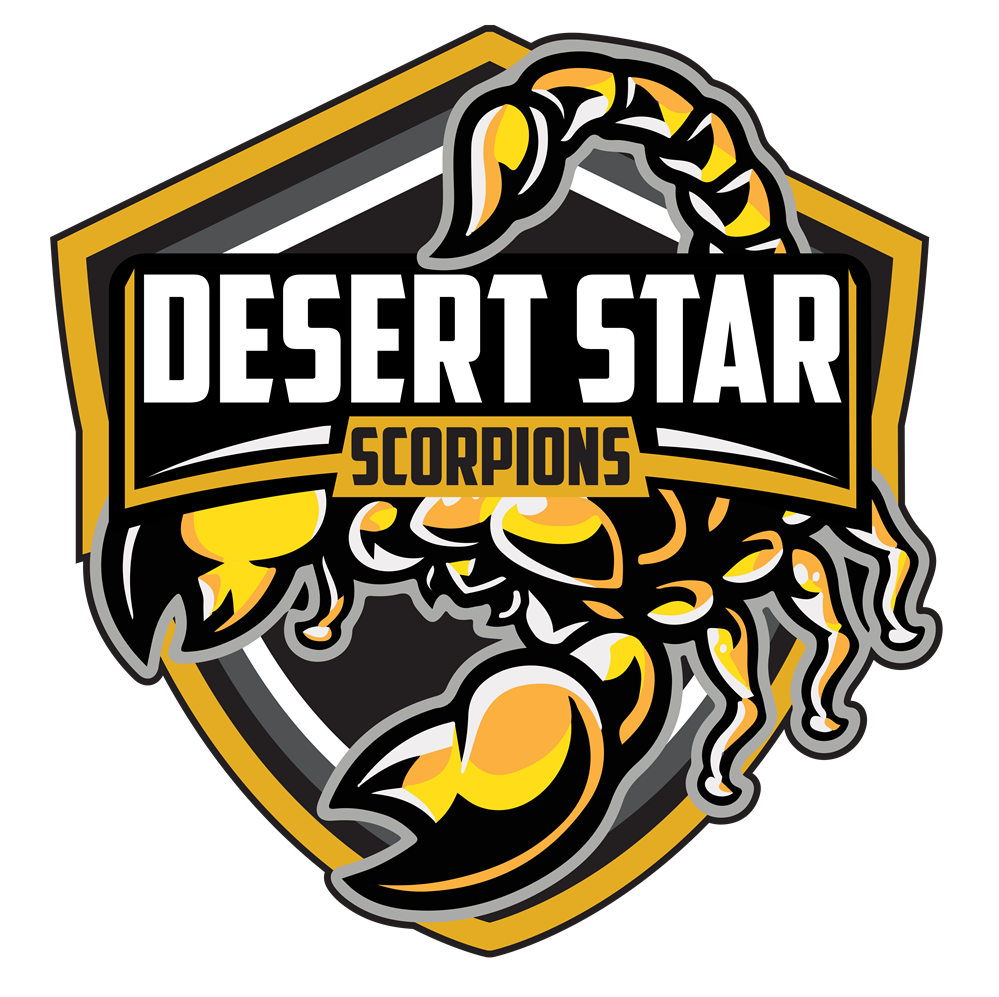 DS Scorpions Logo