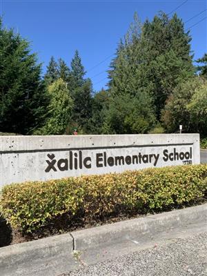 Welcome to x̌alilc!