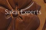  Sakai Experts