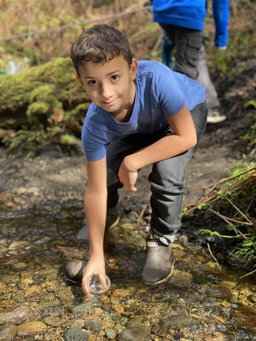 Salmon Release