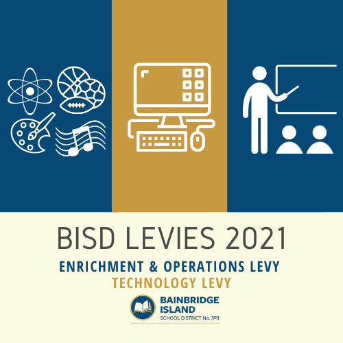 Levies 2021