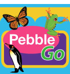 Pebble Go 