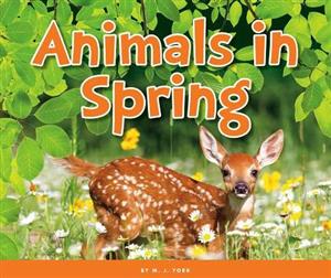 spring animals 