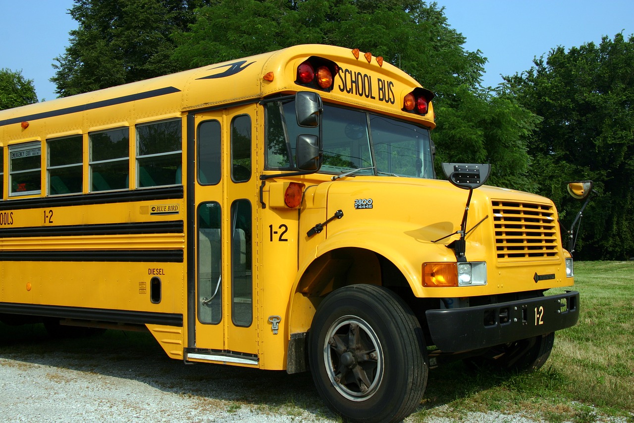 school bus with green trees behind it