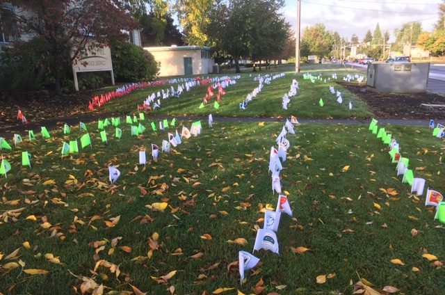 Small flags on a lawn.