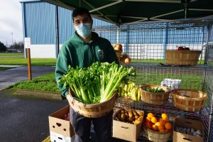 person holding basket of celery