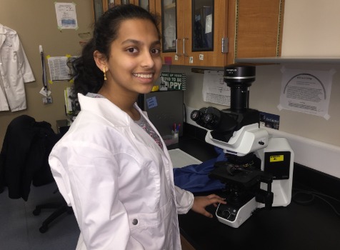 This is the image for the news article titled Student Research Garners National Attention 