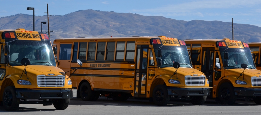 Row of School Buses Row of School Buses