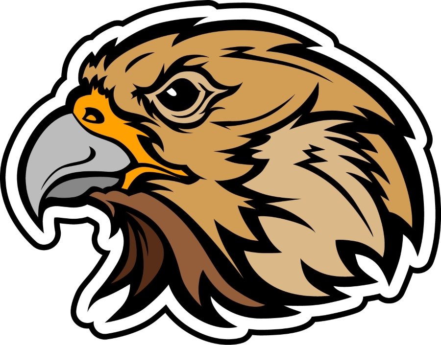 Jefferson Falcon logo