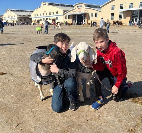 2 boys with a sheep and goat (ffa projects) at the fort Worth stock show in 2023