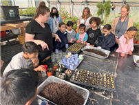 Third and fourth grade students planting seeds. thumbnail258200