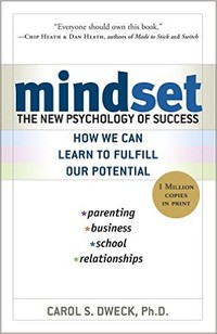 mindset book.jpg