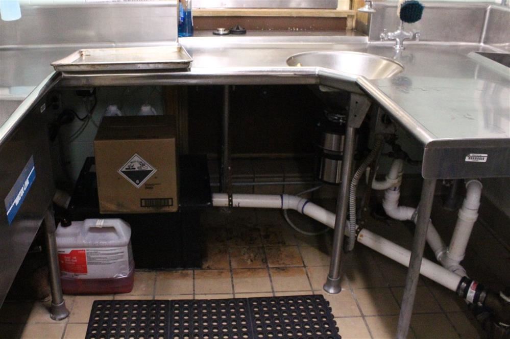 Ginther Kitchen Sink - CIP Work