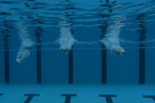 Feet in a pool