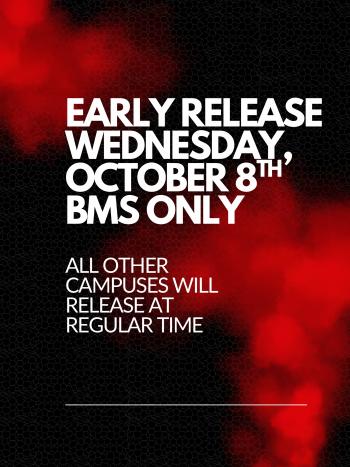 Early Release BMS