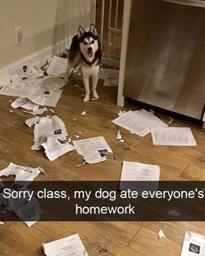Simply Novel on Twitter: "Sorry, class...the dog ate your homework ...