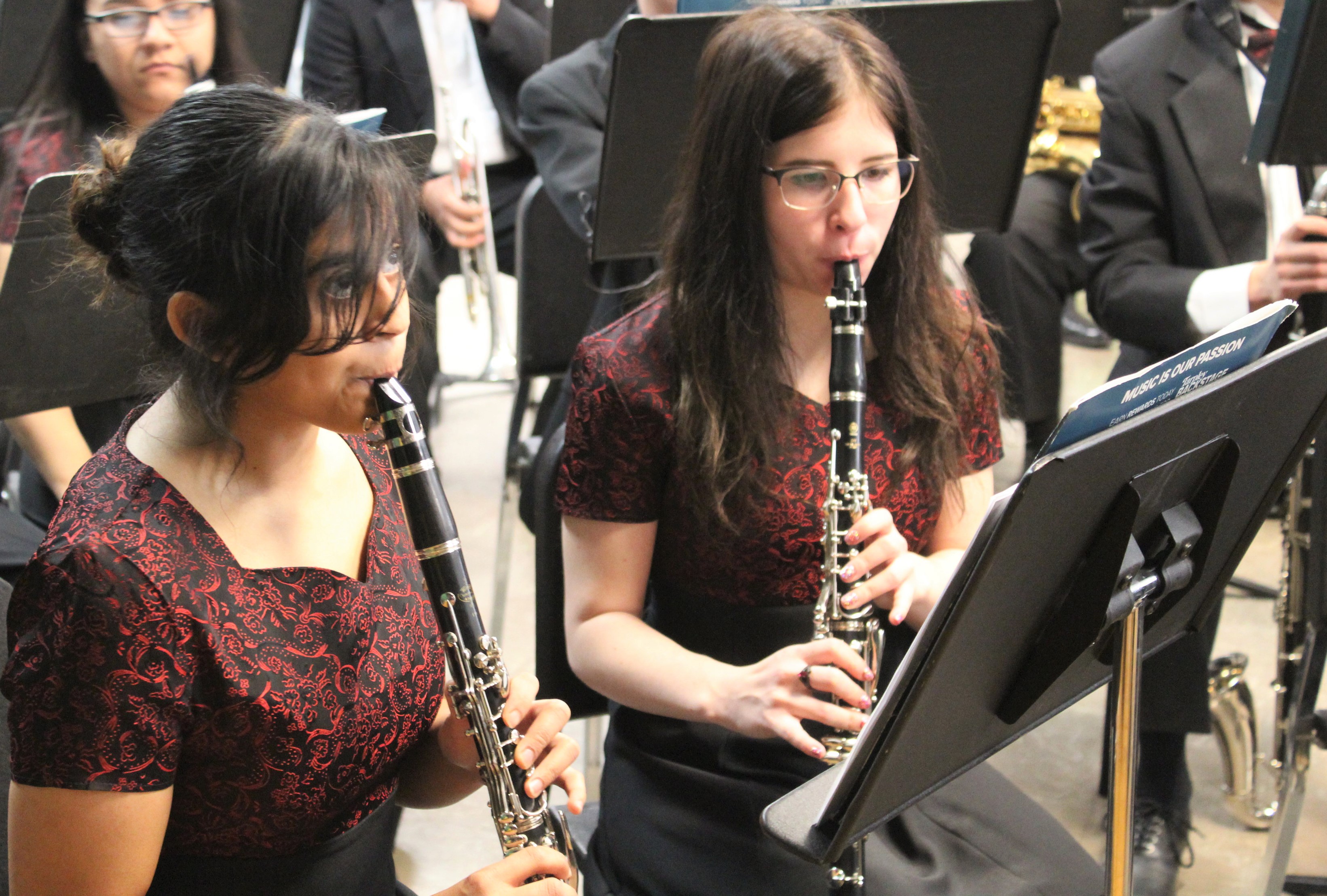 image of clarinet section