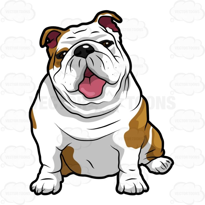 Bulldog