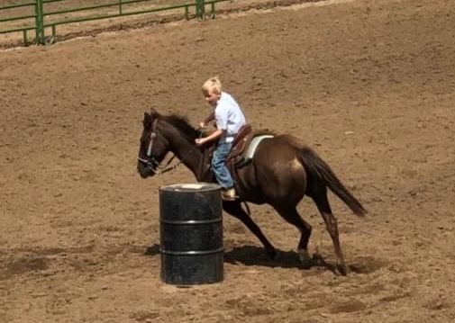 Branson School Online Student Spotlight 11