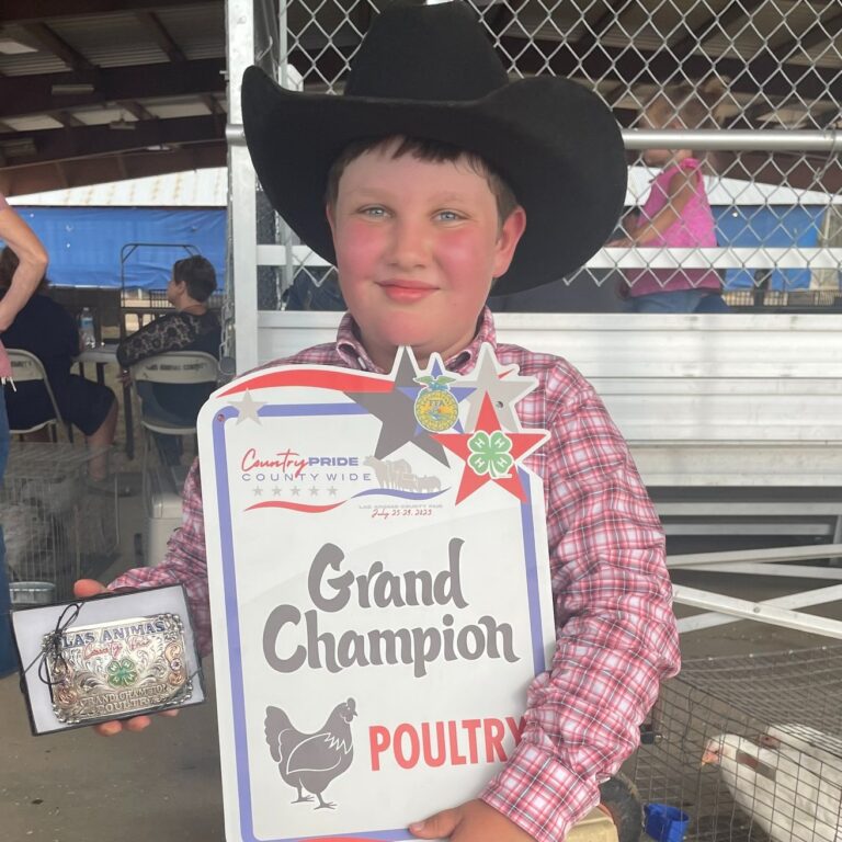 Student Spotlight DD Photo 2