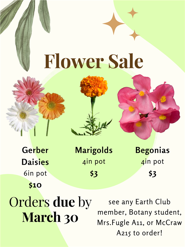 Spring Flower Sale!