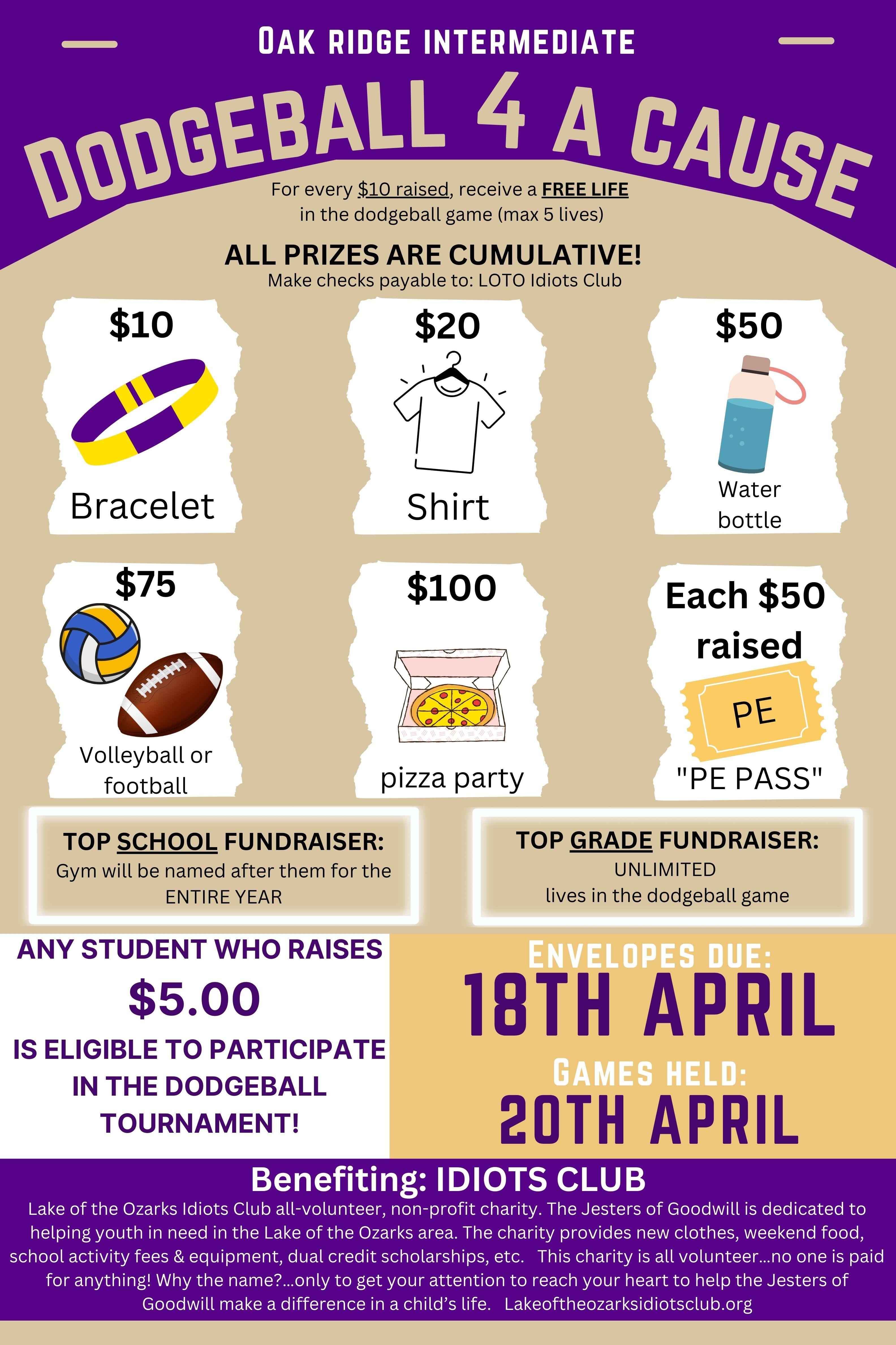 Dodgeball 4 A Cause Fundraising Flyer