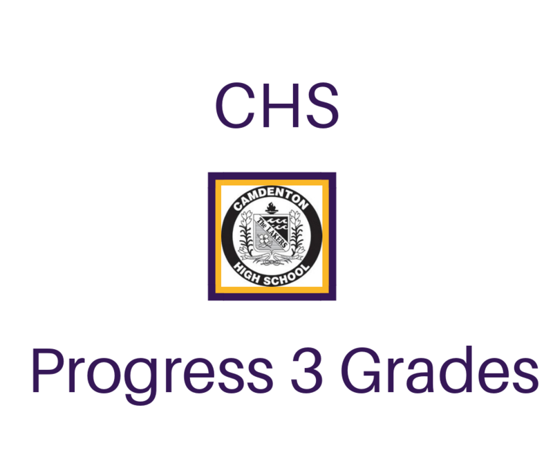 Progress 3 Grades