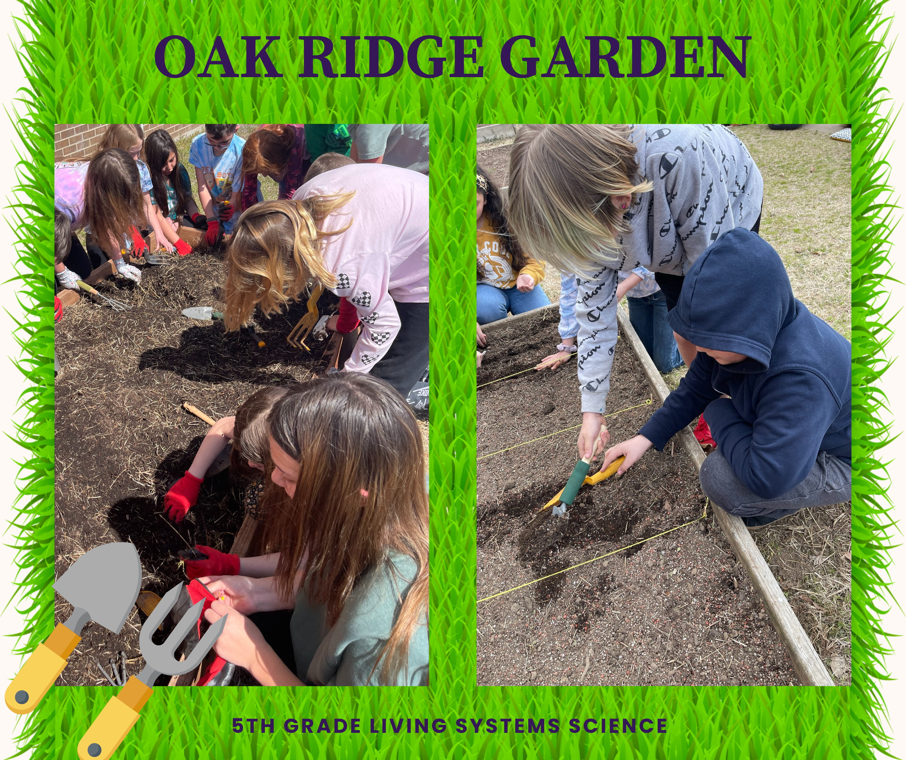 5th graders gardening