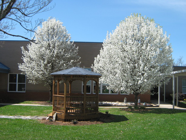 SchoolCenter Picture