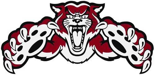 Wildcat Logo 