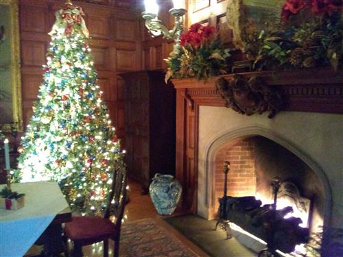 Biltmore House Family Room 