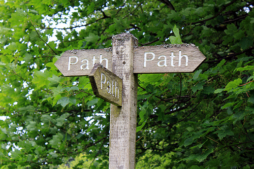 Which path to take? 