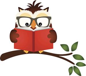 Owl reading