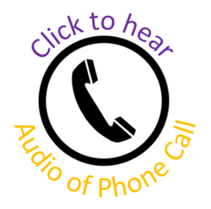 Phone Audio Image.PNG