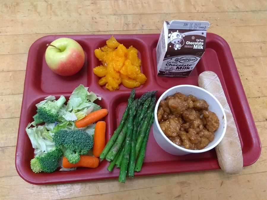 Orange chicken with rice