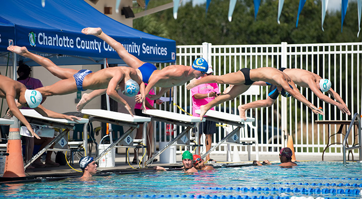 swimmers starting race