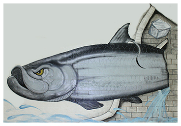 mural of tarpon on gym wall